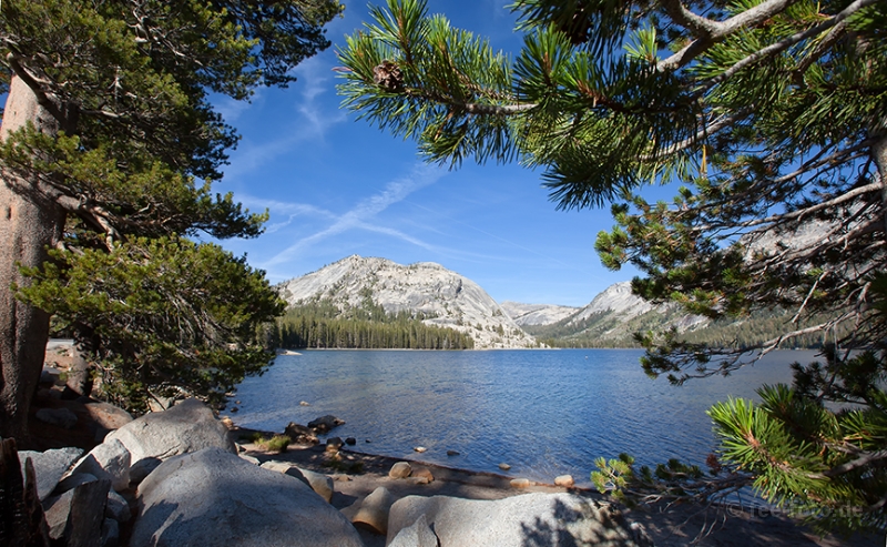 Tenaya Lake